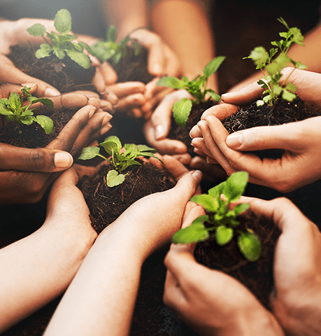 Environmental Management