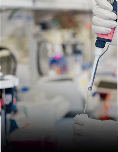 Learn more about R&D pipeline